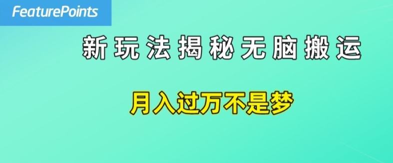 简单操作，每天50美元收入，搬运就是赚钱的秘诀【揭秘】-创博项目库