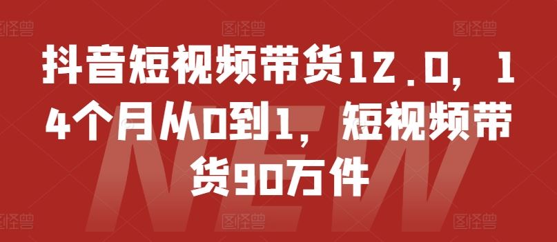 抖音短视频带货12.0，14个月从0到1，短视频带货90万件-创博项目库