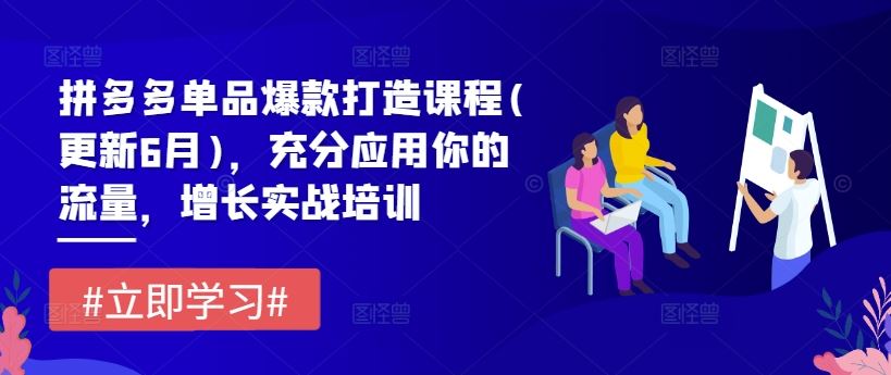 拼多多单品爆款打造课程(更新6月)，充分应用你的流量，增长实战培训-创博项目库