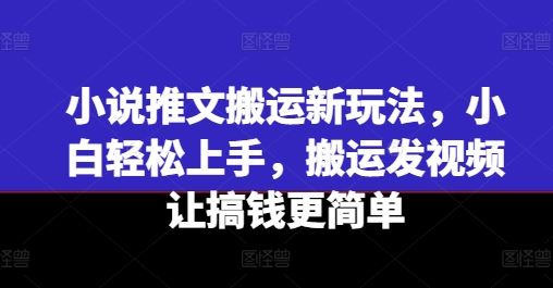 小说推文搬运新玩法，小白轻松上手，搬运发视频让搞钱更简单-创博项目库