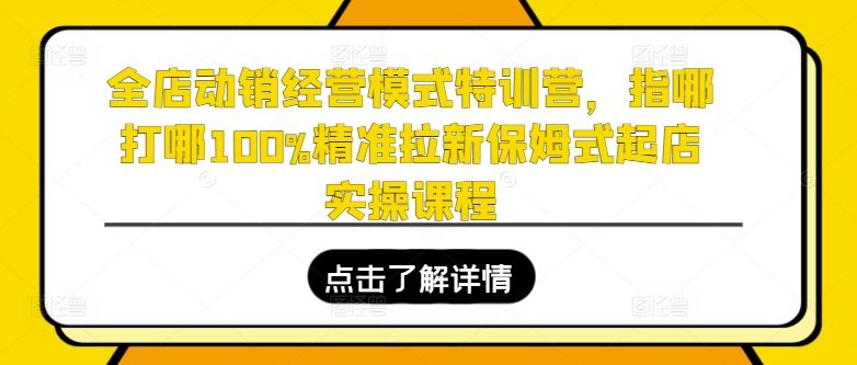 全店动销经营模式特训营，指哪打哪100%精准拉新保姆式起店实操课程