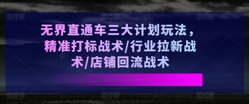 无界直通车三大计划玩法，精准打标战术/行业拉新战术/店铺回流战术-创博项目库