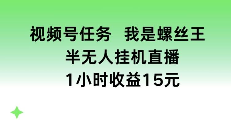 视频号任务，我是螺丝王， 半无人挂机1小时收益15元【揭秘】-创博项目库