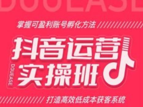 抖音运营实操班，掌握可盈利账号孵化方法，打造高效低成本获客系统-创博项目库