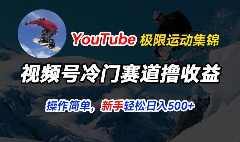 视频号冷门赛道撸收益，YouTube搬运极限运动集锦，暴力起号，操作简单流量高，轻松日入5张【揭秘】-创博项目库