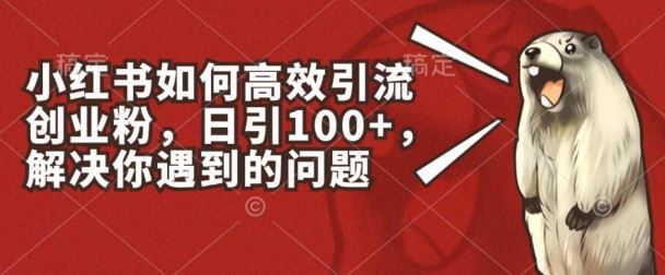 小红书如何高效引流创业粉，日引100+，解决你遇到的问题【揭秘】-创博项目库