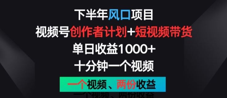 下半年风口项目，视频号创作者计划+视频带货，一个视频两份收益，十分钟一个视频【揭秘】-创博项目库