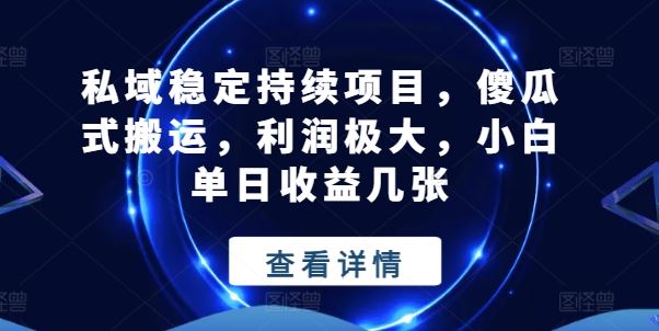 私域稳定持续项目，傻瓜式搬运，利润极大，小白单日收益几张【揭秘】-创博项目库