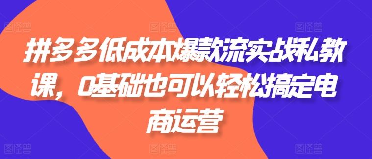 拼多多低成本爆款流实战私教课，0基础也可以轻松搞定电商运营-创博项目库