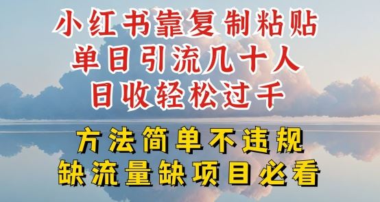 小红书靠复制粘贴单日引流几十人目收轻松过千，方法简单不违规【揭秘】-创博项目库