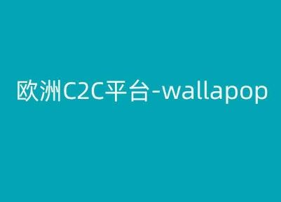 欧洲C2C平台-wallapop-kim跨境电商教程-创博项目库