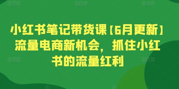 小红书笔记带货课【6月更新】流量电商新机会，抓住小红书的流量红利-创博项目库