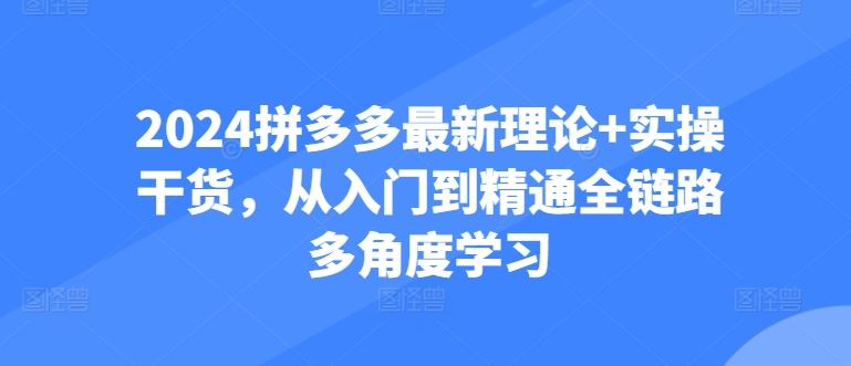 2024拼多多最新理论+实操干货，从入门到精通全链路多角度学习-创博项目库