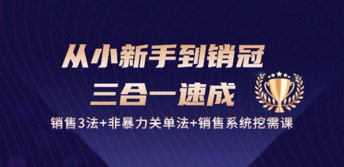 从小新手到销冠 三合一速成：销售3法+非暴力关单法+销售系统挖需课 (27节)-创博项目库