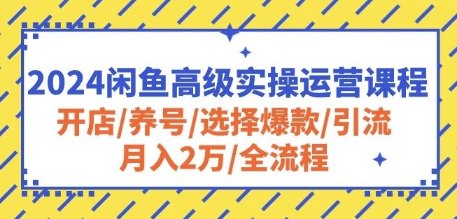 2024闲鱼高级实操运营课程：开店/养号/选择爆款/引流/月入2万/全流程-创博项目库