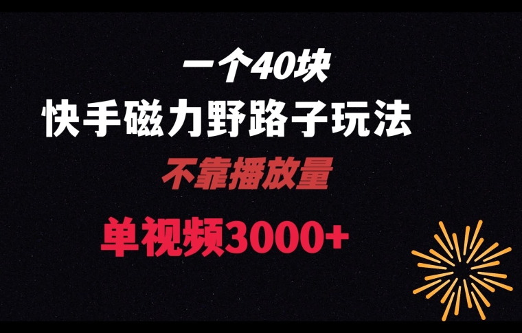 一个40块，快手联合美团磁力新玩法，无视机制野路子玩法，单视频收益4位数【揭秘】-创博项目库