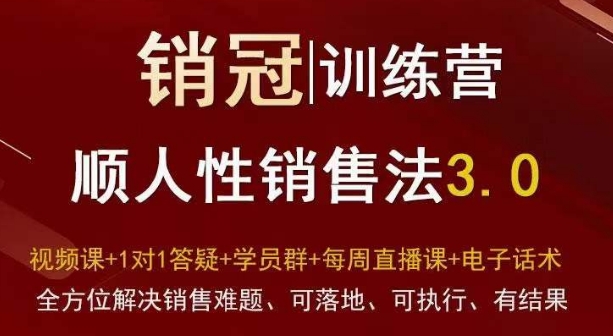 爆款！销冠训练营3.0之顺人性销售法，全方位解决销售难题、可落地、可执行、有结果-创博项目库