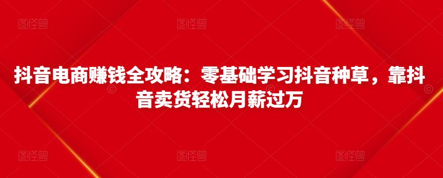 抖音电商赚钱全攻略：零基础学习抖音种草，靠抖音卖货轻松月薪过万-创博项目库