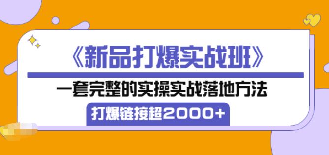 凌童《新品打爆实战班》,一套完整的实操实战落地方法，打爆链接超2000+（28节课)-创博项目库