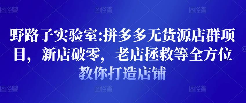 野路子实验室:拼多多无货源店群项目，新店破零，老店拯救等全方位教你打造店铺-创博项目库