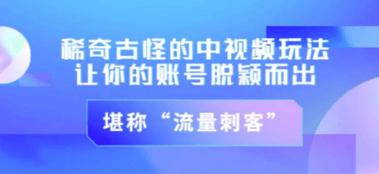 不讲李·稀奇古怪的冷门中视频冷门玩法，让你的账号脱颖而出，成为流量刺客！（图文+视频）-创博项目库