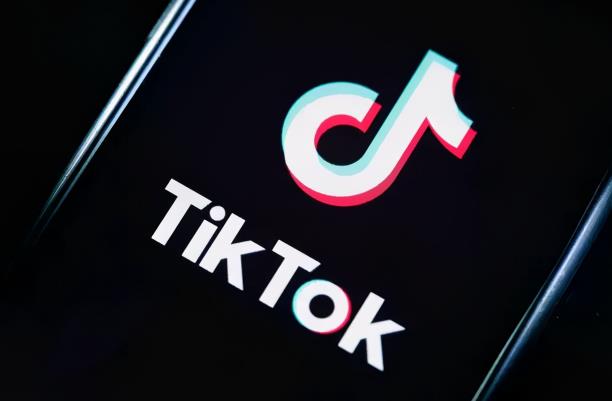 龟课·TikTok变现实战训练营线上第4期，0基础教你搬运视频，获得热门赚美金！