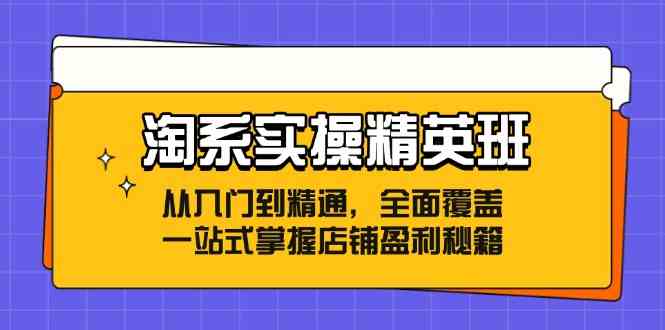 淘系实操精英班：从入门到精通，全面覆盖，一站式掌握店铺盈利秘籍-创博项目库