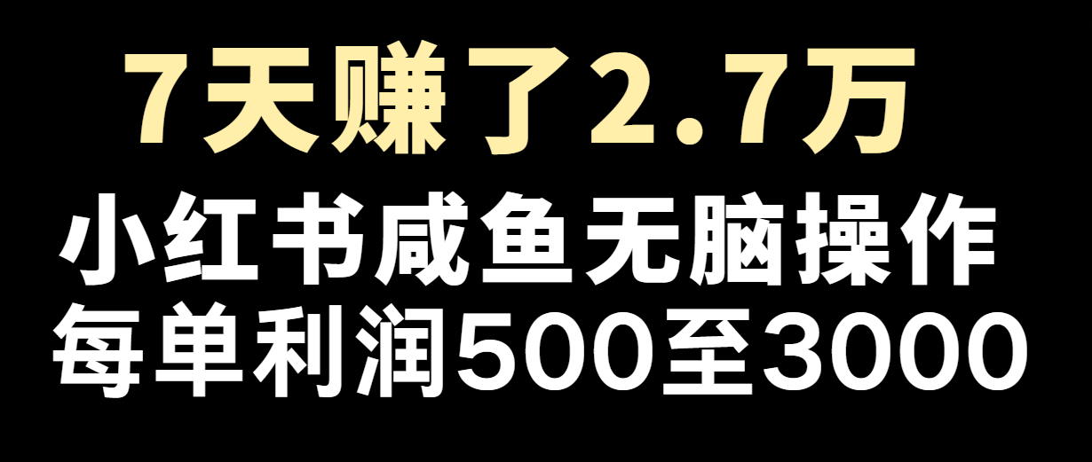 七天赚了2.7万！每单利润最少500+，轻松月入5万+小白有手就行-创博项目库