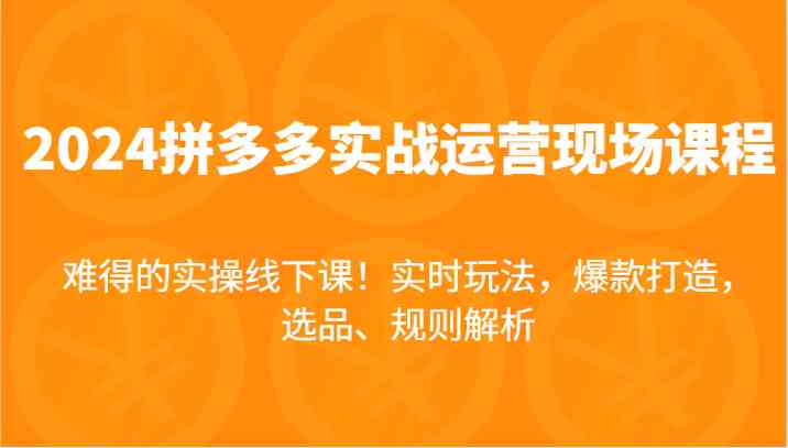 2024拼多多实战运营现场课，实时玩法，爆款打造，选品、规则解析，难得的实操线下课！-创博项目库