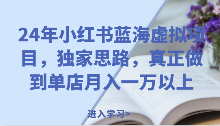 24年小红书蓝海虚拟项目，独家思路，真正做到单店月入一万以上。-创博项目库