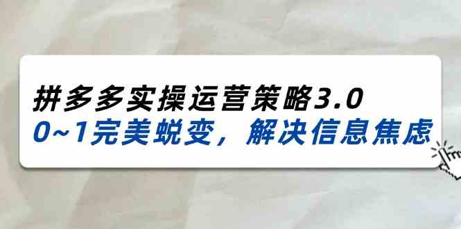 2024-2025拼多多实操运营策略3.0，0~1完美蜕变，解决信息焦虑（38节）-创博项目库