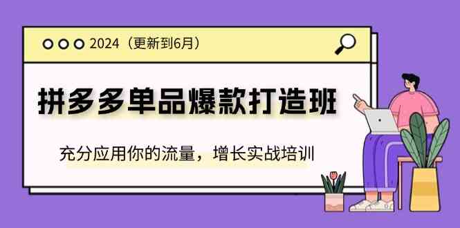 2024拼多多单品爆款打造班，充分应用你的流量，增长实战培训(更新6月)-创博项目库