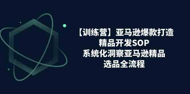 亚马逊爆款打造之精品开发SOP【训练营】，系统化洞察亚马逊精品选品全流程-创博项目库