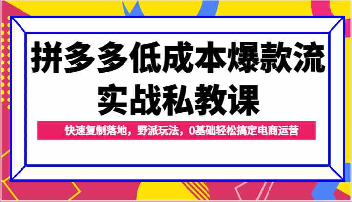 拼多多低成本爆款流实战私教课，快速复制落地，野派玩法，0基础轻松搞定电商运营-创博项目库