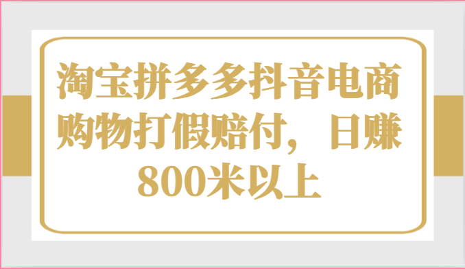 淘宝拼多多抖音电商购物打假赔付，日赚800米以上-创博项目库