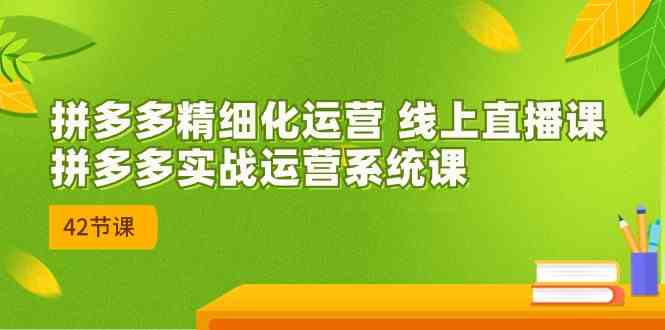 拼多多精细化运营 线上直播课：拼多多实战运营系统课（更新47节）-创博项目库