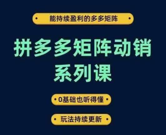 拼多多矩阵动销系列课，能持续盈利的多多矩阵，0基础也听得懂，玩法持续更新-创博项目库