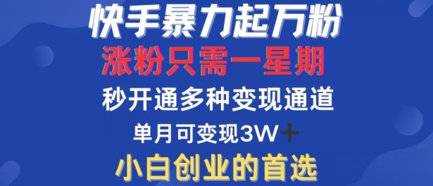 快手暴力起万粉，涨粉只需一星期，多种变现模式，直接秒开万合，单月变现过W【揭秘】-创博项目库